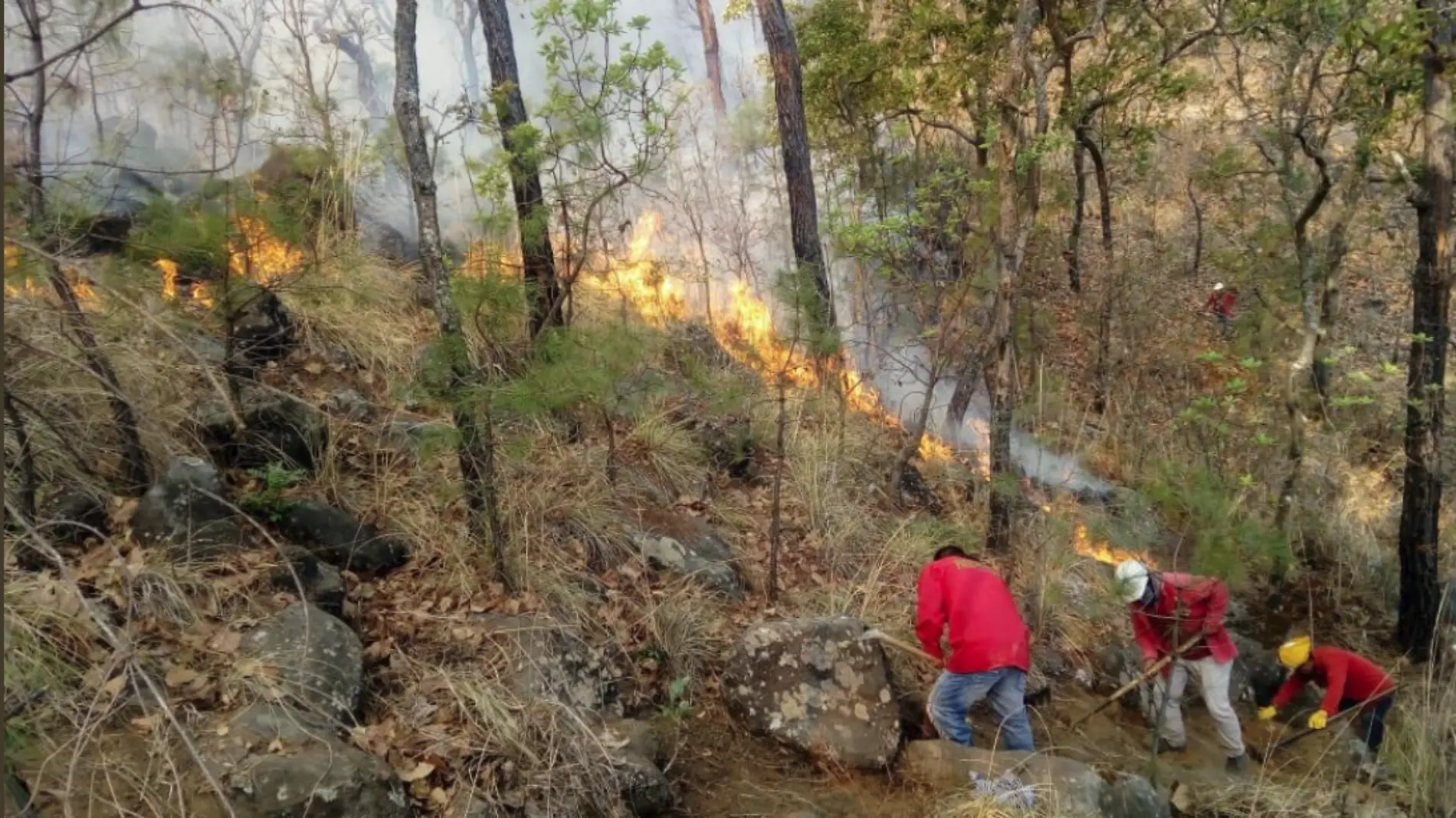 INCENDIOS 3